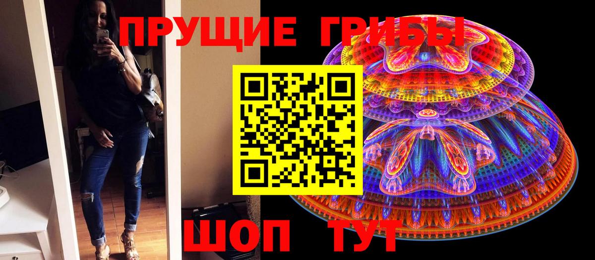 Клинцы  Галлюциногенные грибы Cubensis  Вход с VPN  Галлюциногенные грибы Magic Shrooms 